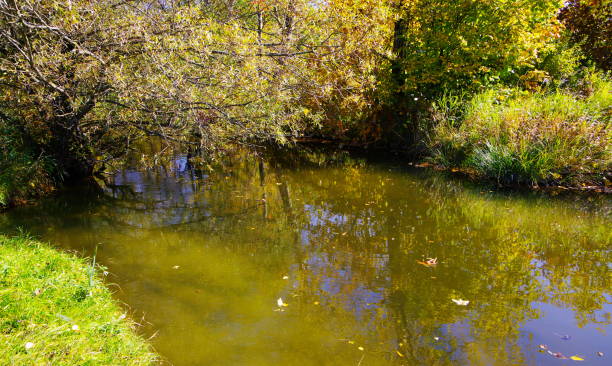 istock Autumn landscape with lovely stream 898346466