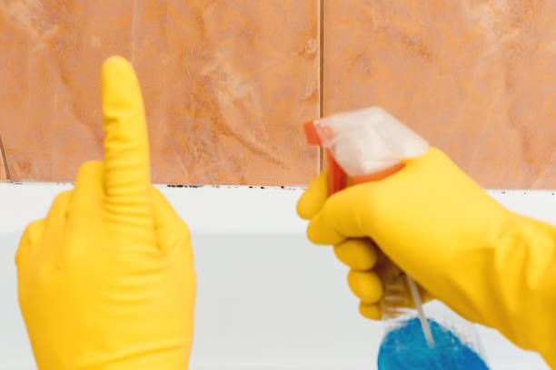 istock Hand in rubber gloves indicates mold in the bathroom 898347156