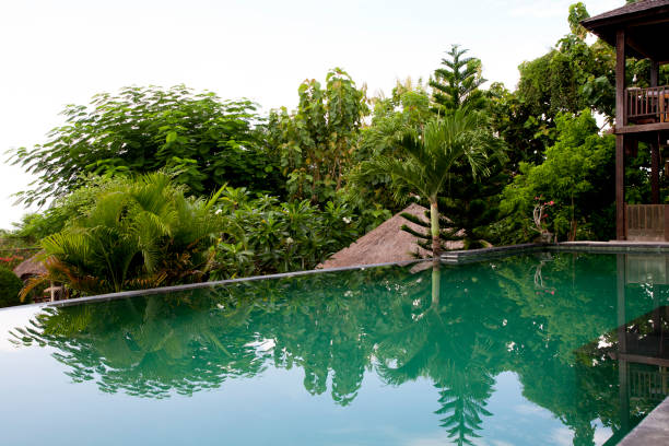 istock Villa Infinity Pool. A Balinese infinity pool in the village. 898349030