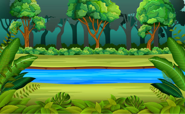 Forest And River Stock Illustration - Download Image Now - River,  Rainforest, Cartoon - iStock