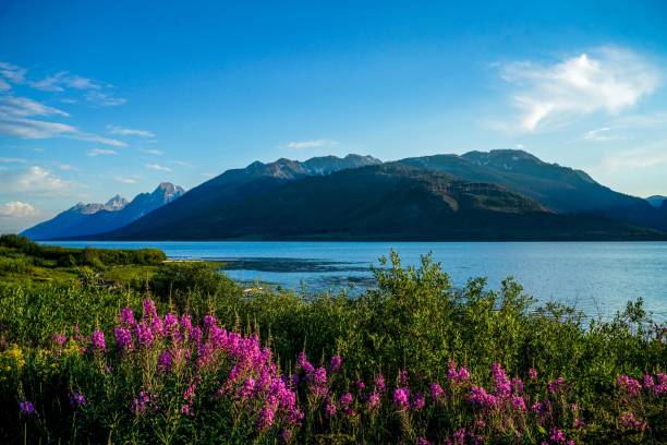 istock Beautiful Landscape Throughout Yellowstone 898354862