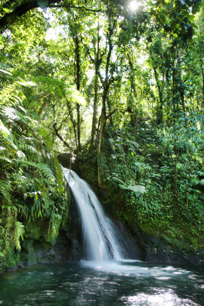 istock Crayfish Waterfall or La Cascade aux Ecrevisses 898355458