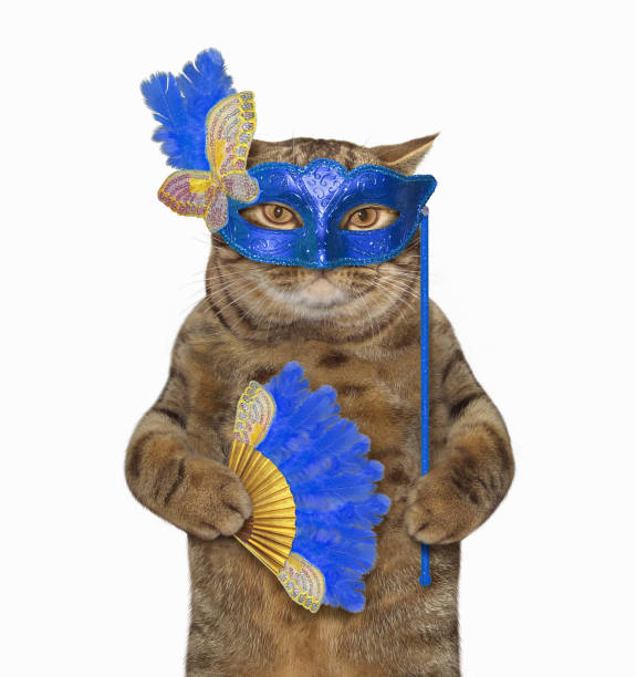 istock Cat in a masquerade mask 2 898357960
