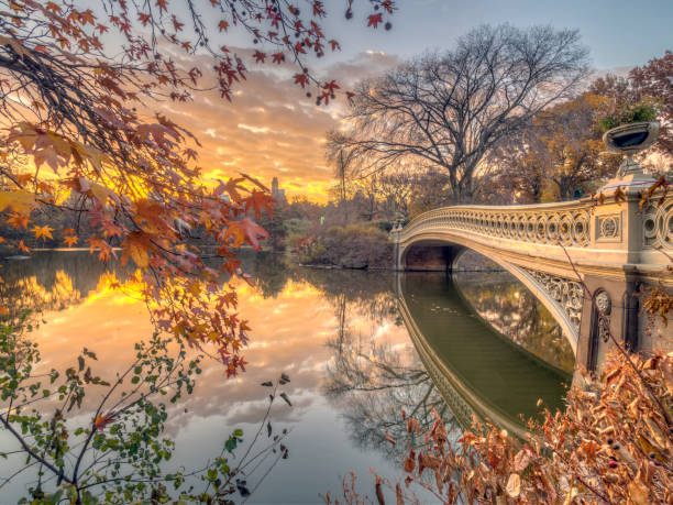 istock Bow bridge Central Park in autumn 898358896