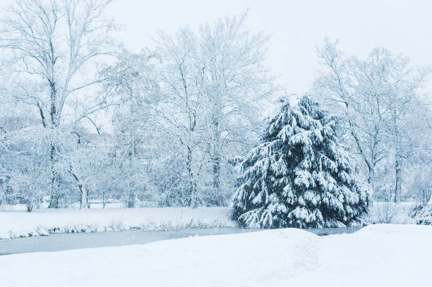 istock Trees and pine trees with a frozen river under the snow 898359498