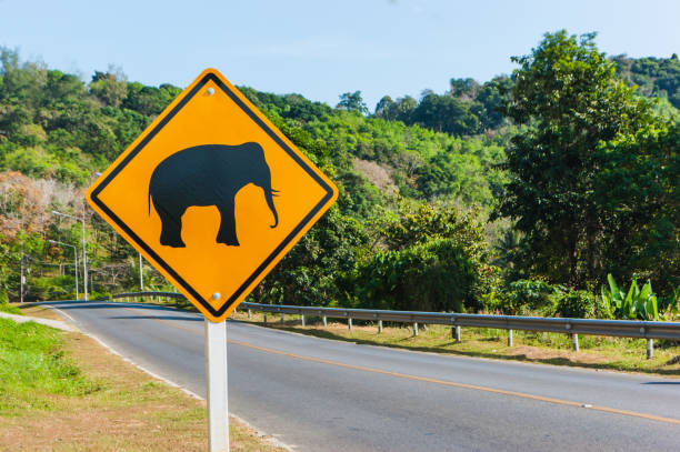 istock Road sign 