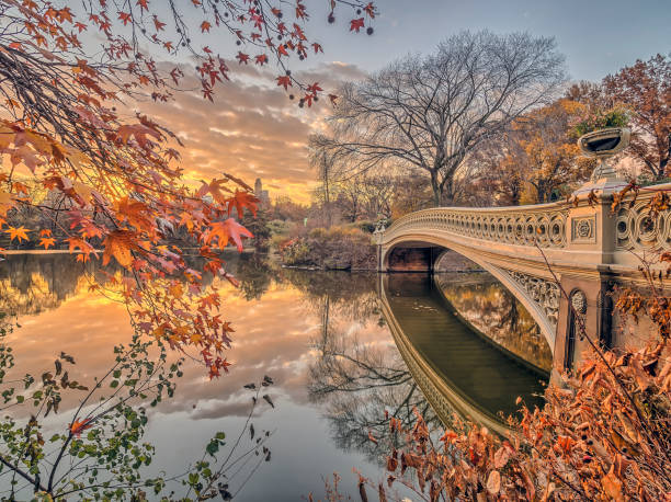 istock Bow bridge Central Park in autumn 898361620