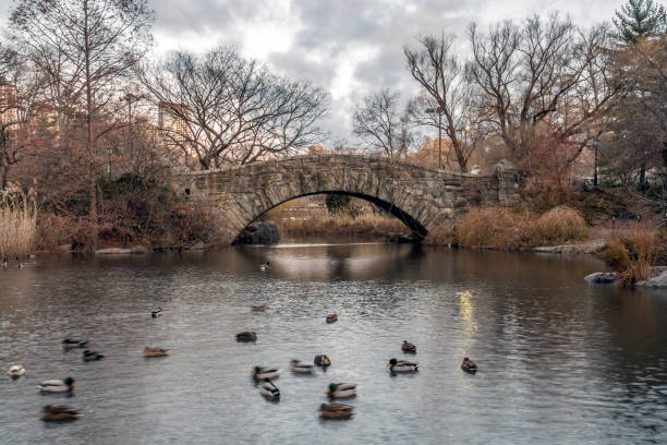 istock Gapstow bridge Central Park, New York City 898362348