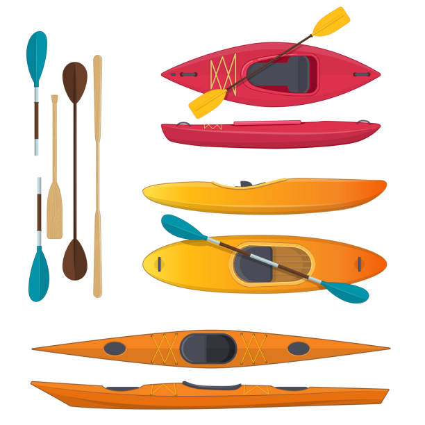 Set of colored sea and whitewater kayaks and paddles Set of sea and whitewater kayaks and paddles on white background rafting kayak kayaking river stock illustrations