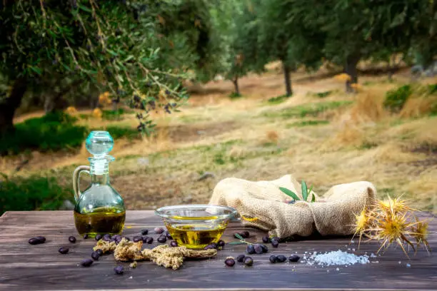 Bowl and bottle with extra virgin olive oil, olives, a fresh branch of olive tree and cretan rusk dakos on wooden table, in an olive tree field at Crete, Greece.