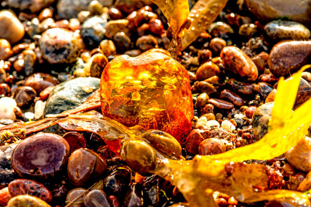 istock Amber on a beach of the Baltic Sea 898369902