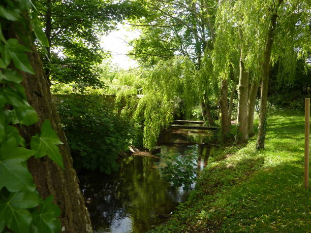 A chalk stream - Misbourne River, Chiltern Hills Amersham, UK - May 2017: Misbourne River, one of a few chalk streams of Southern England Chalk Formation in the Chiltern Hills. Typically for all chalk streams it's wide and shallow, and its water is beautifully clean. The pictures are taken on Barn Meadow in Amersham Old Town, Buckinghamshire. amersham stock pictures, royalty-free photos & images