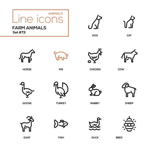 bildbanksillustrationer, clip art samt tecknat material och ikoner med gårdens djur - line design ikoner set - horse net