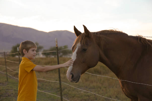 istock Boy holding barbed wire fence with horse 898375124