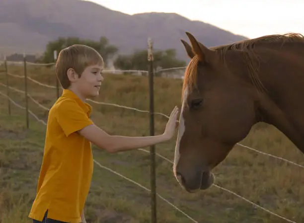 Boy holding barbed wire fence with horse