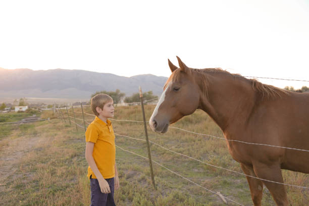 istock Boy holding barbed wire fence with horse 898375136