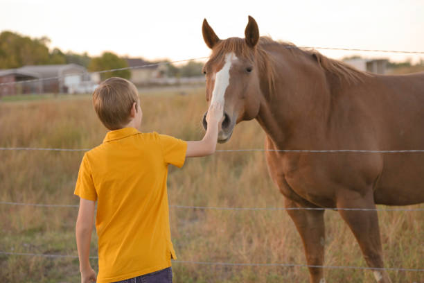 istock Boy holding barbed wire fence with horse 898375138