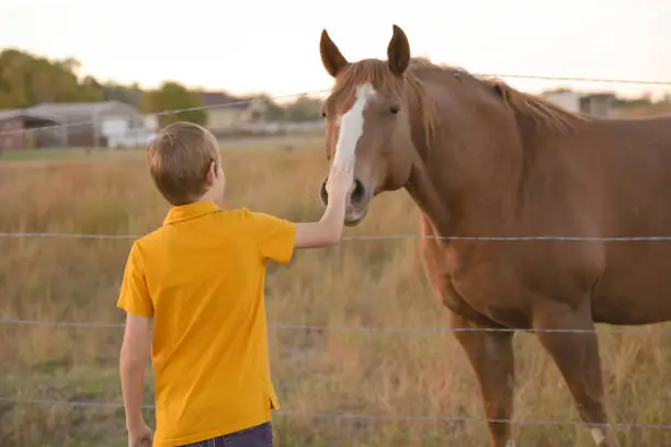 Boy holding barbed wire fence with horse