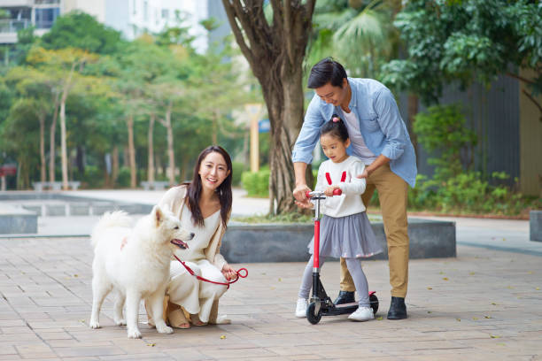 Asian parents & daughter playing scooter while walking dog in garden stock photo