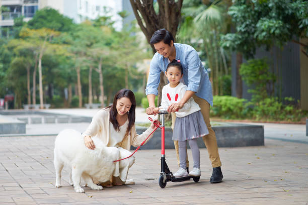 istock Asian parents & daughter playing scooter while walking dog in garden 898376496