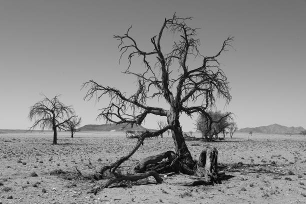 The area around Kriess Rus in Namibia