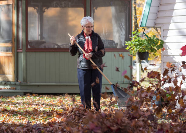 Senior women picking up autumn leaves