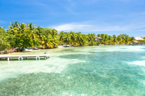 istock Paradise tropical in Belize Central America 898377230