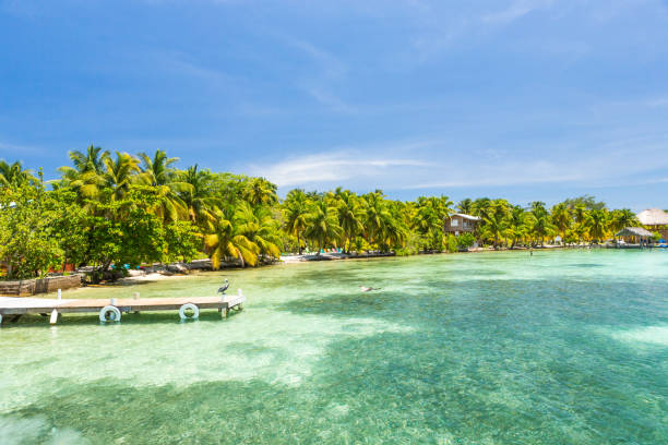 istock Paradise tropical in Belize Central America 898377414