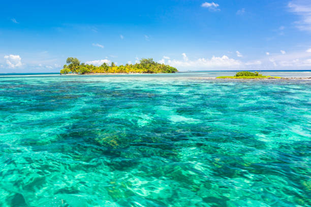 istock Paradise tropical in Belize Central America 898377736