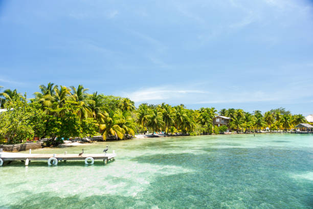 istock Paradise tropical in Belize Central America 898377784