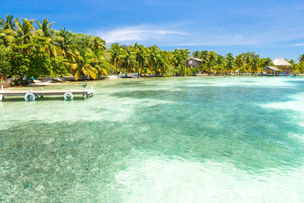 istock Paradise tropical in Belize Central America 898377870