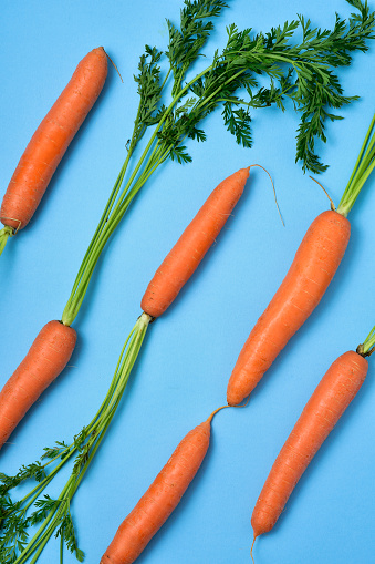 high angle view of some carrots placed in diagonal on a blue background
