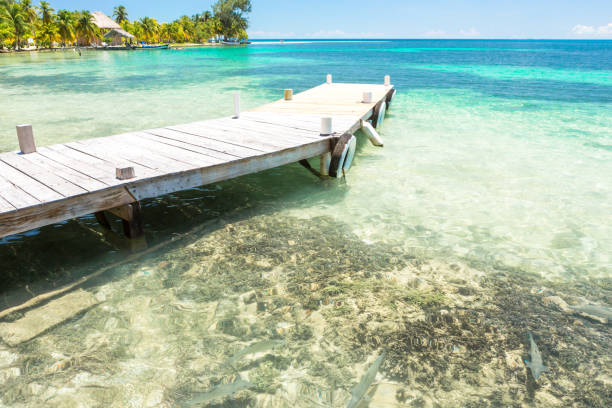 istock Paradise tropical in Belize Central America 898377906
