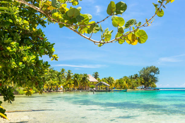istock Paradise tropical in Belize Central America 898378568