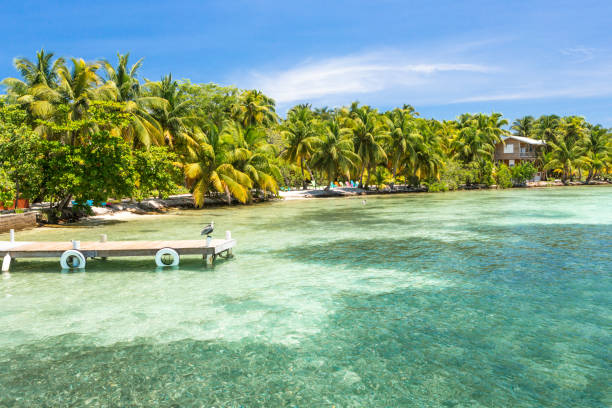 istock Paradise tropical in Belize Central America 898378742