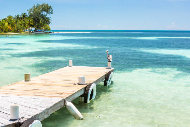 istock Paradise tropical in Belize Central America 898379488