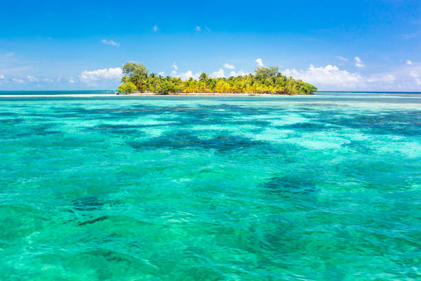 istock Paradise tropical in Belize Central America 898379832