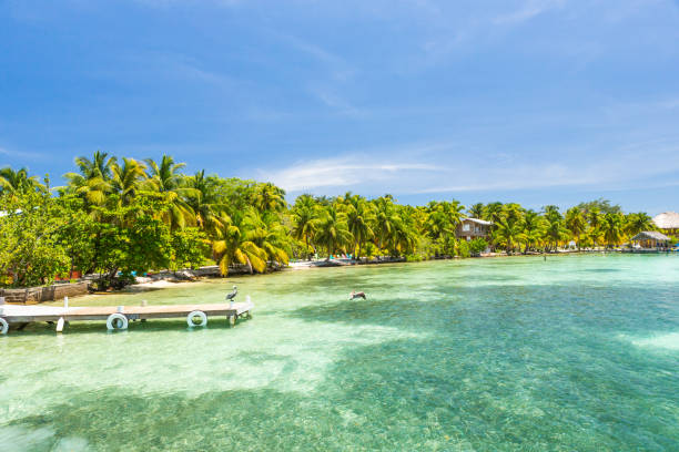 istock Paradise tropical in Belize Central America 898379956
