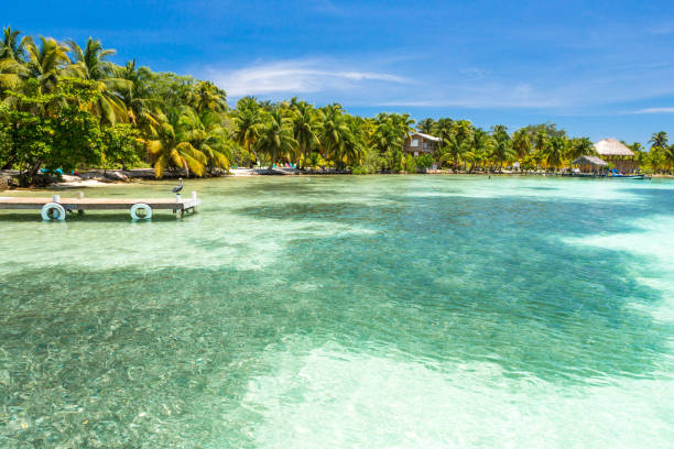 istock Paradise tropical in Belize Central America 898380212