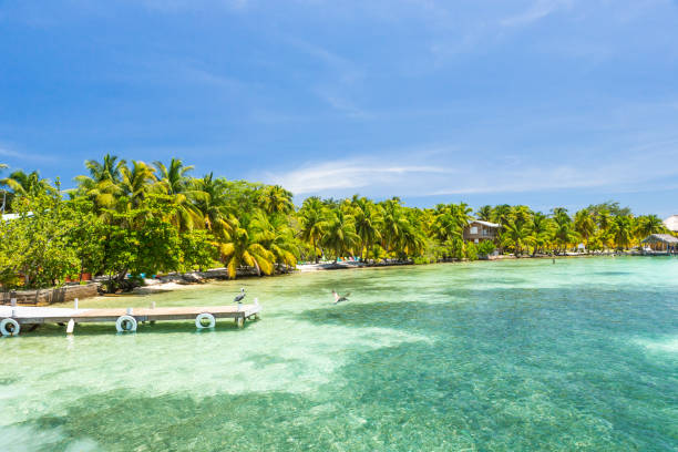 istock Paradise tropical in Belize Central America 898380324
