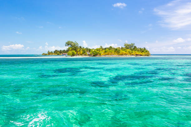 istock Paradise tropical in Belize Central America 898380438