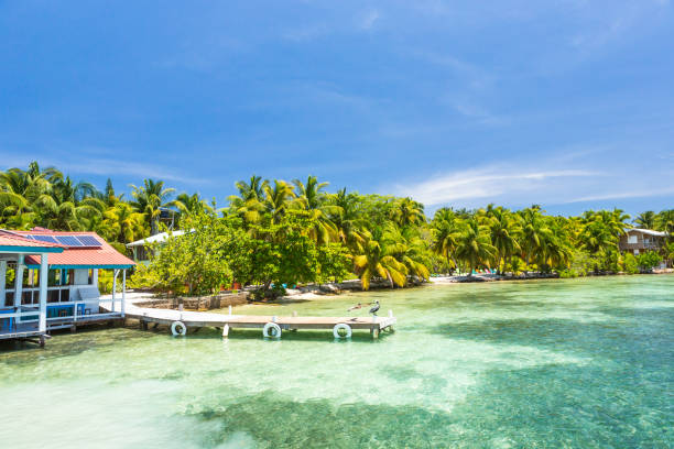 istock Paradise tropical in Belize Central America 898380490