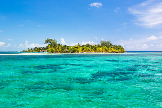 istock Paradise tropical in Belize Central America 898381276