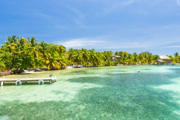 istock Paradise tropical in Belize Central America 898381712