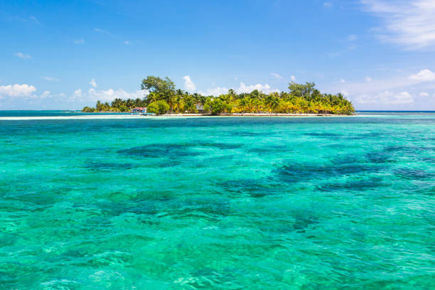 istock Paradise tropical in Belize Central America 898382012