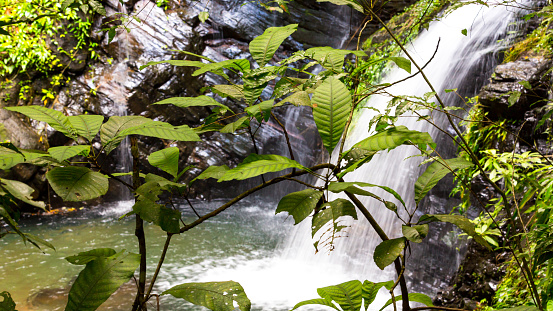 Paradise tropical in Belize Central America