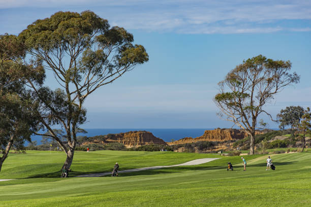 Golf Course at Torrey Pines La Jolla California USA near San Diego LA JOLLA, CALIFORNIA, USA - NOVEMBER 6, 2017: Golf Course at Torrey Pines with Pacific Ocean in the background and golfers on the fairway at La Jolla California USA near San Diego la jolla stock pictures, royalty-free photos & images
