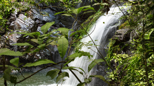 istock Paradise tropical in Belize Central America 898388706