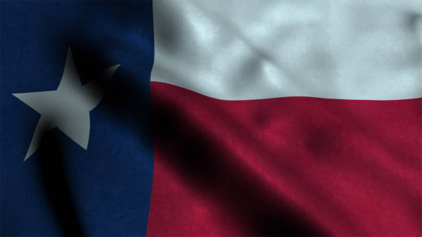 agitant le drapeau du texas - texas blues photos et images de collection