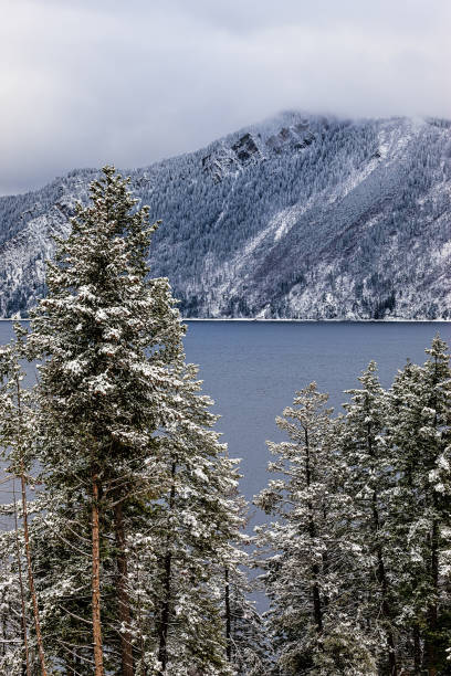 istock Snowy trees and mounatins. 898392220